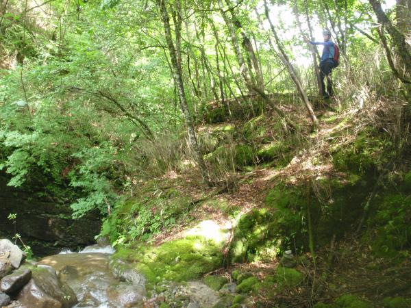 最初の５mの滝。右側の高巻き道を通って下る。